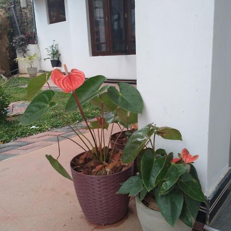 Holly House Homestay Ella Exterior foto